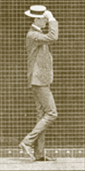 Animation